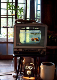 Old TV to tank