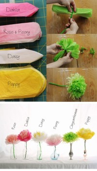 Tissue Paper Flowers | DIY