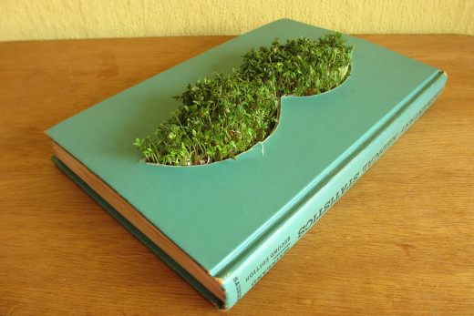 Grow a moustache out of a book