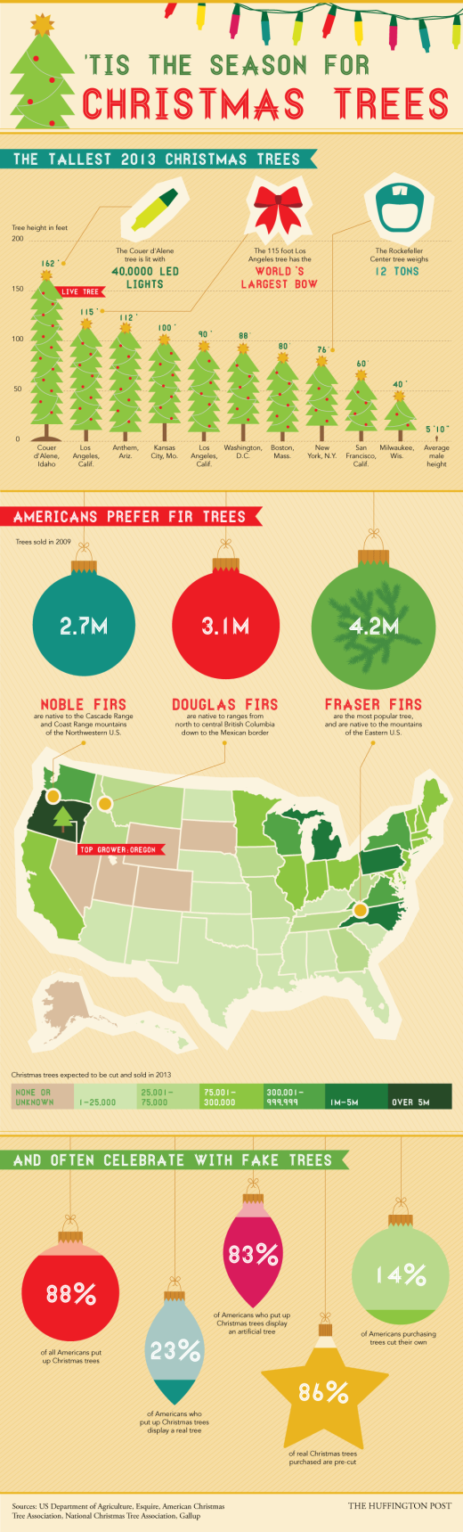 Surprising facts and figures about the season’s trees