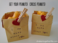 I am nuts about you ~ DIY circus peanuts Valentine