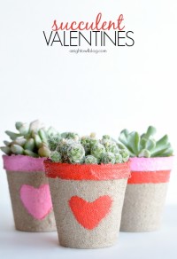 Succulent Valentine | DIY valentines day Ideas