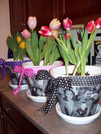 Diy Mothers Day Gift Idea – flower pots
