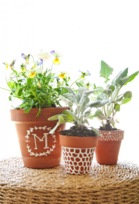 Painted Potted Plants From Lil’ Luna