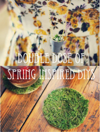 Double Dose of Spring DIYs! From Sincerely, Kinsey