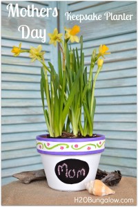 Mothers Day Planter Gift | From H20 Bungalow