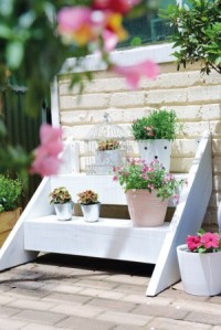 A step in the right direction | Purpose steps for displaying flowering potted plants